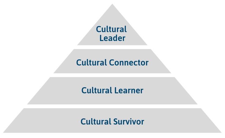 Pyramid, with layers labelled in descending order: Cultural Leader, Cultural Connector, Cultural Learner, Cultural Survivor