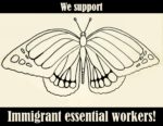 We support immigrant essential workers; butterfly
