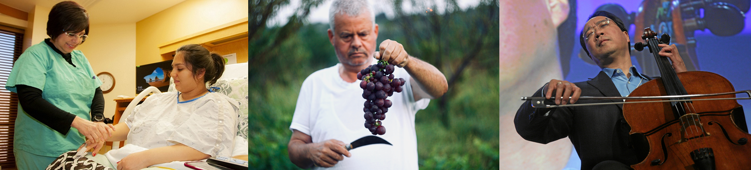 Immigrants working as a nurse, picking grapes, and playing the cello.