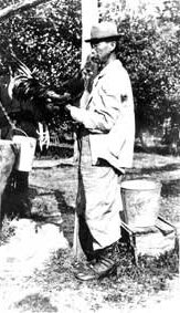 Lue Gim Gong working on a citrus tree