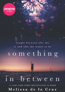 Something in Between book cover