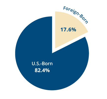 Pie chart depicting that 17.6% of Massachusetts residents are foreign-born, while 82.4% Massachusetts residents are U.S.-born.