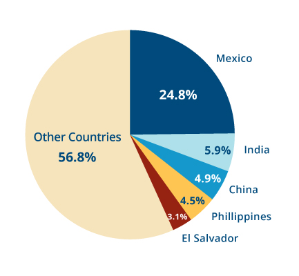 Pie chart showing that the five largest immigrant populations in the United States are from Mexico (24.8%), India (5.9%), China (4.9%), the Philippines (4.5%), and El Salvador (3.1%).